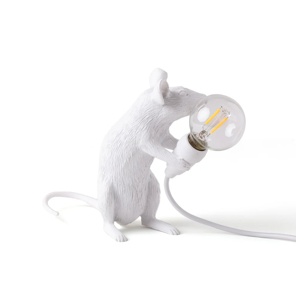Lampada per mouse Mac